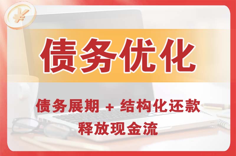 武义债务优化