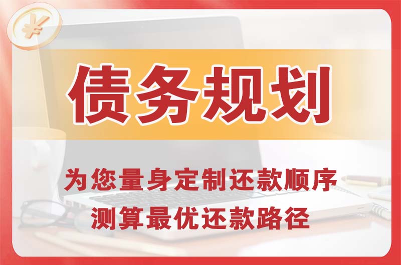 武义债务规划